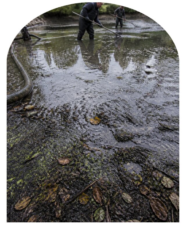 Очистка пруда в Владимире от ила мусора и водорослей с вывозом